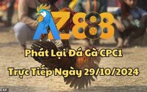 Phát Lại Đá Gà CPC1 Trực Tiếp Ngày 29/10/2024