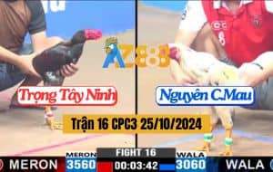 Trận 16 CPC3 Ngày 25/10/2024 Anh Trọng Tây Ninh Và Anh Nguyên Cà Mau