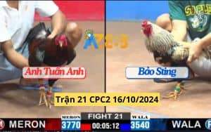 Trận 21 CPC2 Ngày 16/10/2024 Anh Bảo Sting Đụng Phải Gốc Bự
