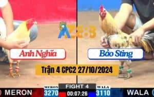 Trận 4 CPC2 Ngày 27/10/2024 - Gà Chuối Anh Bảo Sting Đá 3 Chân Lụm Lúa