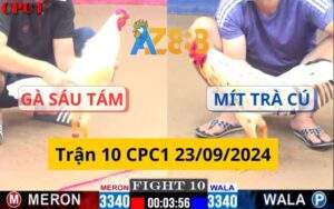 Trận 10 CPC1 23/09/2024 - Gà Mít Trà Cú Có Chân Phản Lật Ngược Thế Thua