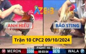 Trận 10 CPC2 09/10/2024 - Gà Của Bảo Sting Quá Đâm Gà Anh Hiếu