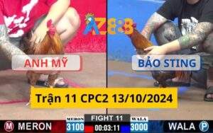 Trận 11 CPC2 13/10/2024 - Mỹ Liều Dí Bạc Bảo Sting Và Cái Kết