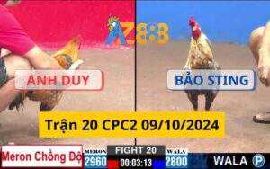 Trận 20 CPC2 09/10/2024 - Bảo Sting Bị Gà Anh Duy Đá Phản