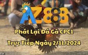 Phát Lại Đá Gà CPC1 Trực Tiếp Ngày 02/11/2024