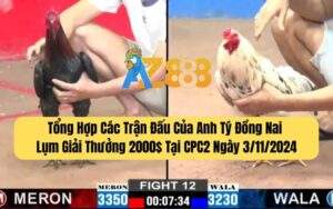 Các Trận Đấu Của Anh Tý Đồng Nai Lụm Giải Thưởng 2000 USD Tại CPC2