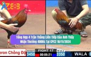 4 Trận Thắng Của Anh Thầy Lụm Giải 4000 USD Tại CPC2 10/11/2024
