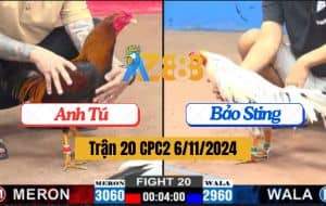 Trận 20 CPC2 Ngày 6/11/2024 - Dí Bạc Bướm Hiệu Bảo Sting Và Cái Kết