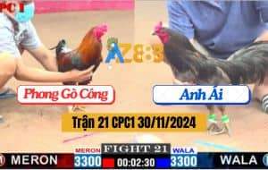 Trận 21 CPC1 30/11/2024 - Gà Anh Phong Đá 2 Cái Đối Thủ Gãy Cổ