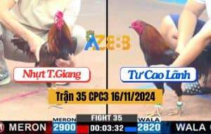 Trận 35 CPC3 16/11/2024 - Gà Anh Nhựt Tiền Giang Đá Gà Anh Tư Nằm Liệt