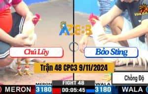 Trận 48 CPC3 Ngày 9/11/2024 - Gà IDOL Chồng Độ Hạ Gà Chú Lũy Nhẹ Nhàng