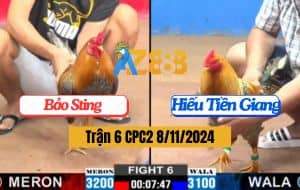 Trận 6 CPC2 Ngày 8/11/2024 - Gà IDOL Cùng Màu Hơn Cân Thứ Gì Chịu Nỗi