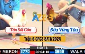 Trận 6 CPC3 Ngày 8/11/2024 - Gà Anh Đậu Quá Đẳng Cấp Hạ Thái Nhập