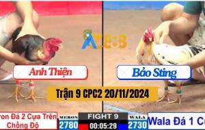 Trận 9 CPC2 20/11/2024 - Anh Bảo Sting Cáp Kèo Dị Và Cái Kết