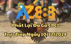 Phát Lại Đá Gà CPC1 Trực Tiếp Ngày 10/12/2024