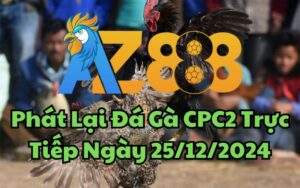 Phát Lại Đá Gà CPC2 Trực Tiếp Ngày 25/12/2024