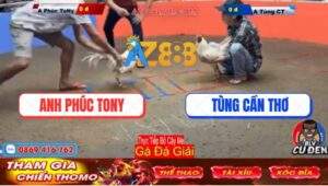 Trận 2 Giải Bồ Cây Me 30/12/2024 - Anh Phúc Tony Và Anh Tùng Cần Thơ