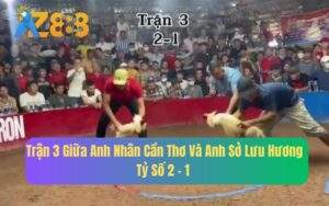 Trận 3 Giữa Anh Sở Lưu Hương Và Anh Nhân Cần Thơ, Tỷ Số 2 - 1
