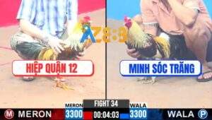 Trận 34 CPC3 31/12/2024 - Má Minh Bào Từ C1 Qua Tới C3