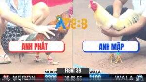 Trận 39 CPC3 31/12/2024 - Gà Úa Anh Mạp Gãy Chân Phản Kèo Ăn 1