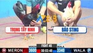 Trận 46 CPC3 8/12/2024 - Anh Bảo Sting Lụm Gọn Anh Tèo Bảo Lộc