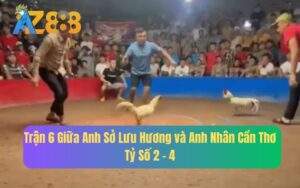 Trận 6 Giữa Anh Sở Lưu Hương Và Anh Nhân Cần Thơ, Tỷ Số 2 - 4