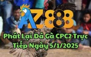 Phát Lại Đá Gà CPC2 Trực Tiếp Ngày 05/01/2025
