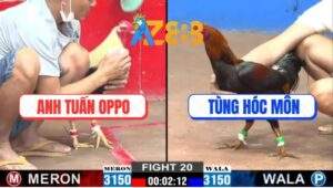 Trận 20 CPC2 22/1/2025 - Anh Tùng Nài Gà Lật Kèo 2 Quá Đẳng Cấp