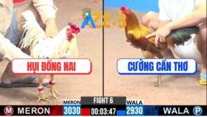 Trận 6 CPC3 16/1/2025 - Anh Hụi Bao Bồ Trong Ngoài 3 Tỏi Không Thành