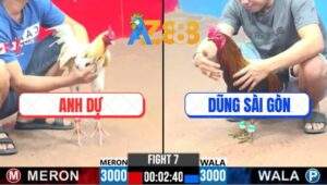 Trận 7 CPC3 21/1/2025 - Một Bát Có Tiền Sắm Mai Chơi Tết