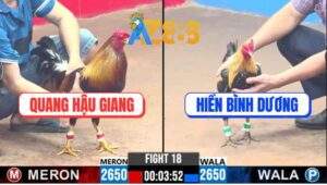 Trận 18 CPC3 24/2/2025 - Gà Chuối Anh Hiền Ra Chân Lẹ Như Tép Nhảy