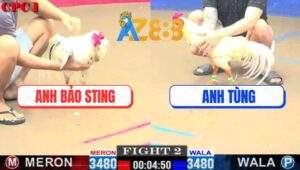 Trận 2 CPC1 22/2/2025 - Anh Bảo Sting Sủa Gà Quá Hay, Phản Kèo 5 Lai