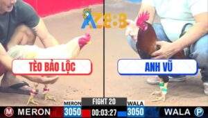 Trận 20 CPC3 23/2/2025 Gà Điều Anh Vũ Có Lối Đá Chạy Xe Rồi Chạy Luôn