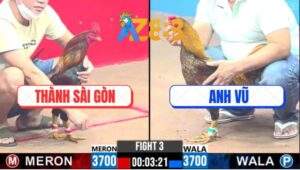 Trận 3 CPC3 23/2/2025 - Gà Anh Thành Đá Tăng 1 Gà Anh Vũ Ngã Ngửa