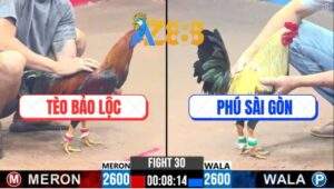 Trận 30 CPC3 21/2/2025 Anh Tèo Nài Gà Đẳng Cấp, Chuyển Bại Thành Thắng