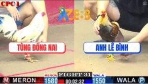 Trận 31 CPC1 24/2/2025 Bướm Tránh Né Trả Lại 1 Chân Lụm Gọn Chuối Cúp