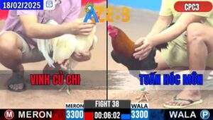Trận 38 CPC3 18/2/2025 - Gà Điều Rớt Túi Tiền Sau 1 Chân Quyết định