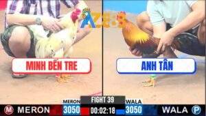 Trận 39 CPC3 20/2/2025 - Anh Tân Lụm Má Minh Không Dính Một Hạt Bụi