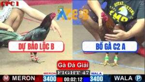 Trận 47 CPC1 22/2/2025 Khét Cọp Máy Chém Ẳn Mình, Anh Bảo Sting Gom Bồ