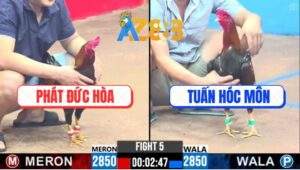 Trận 5 CPC3 21/2/2025 - Điều Cọp Anh Tuấn Đâm Gà Anh Phát Như Cái Rổ