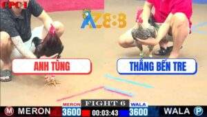 Trận 6 CPC1 22/2/2025 - Gà Cú Anh Thắng Bến Tre Đá Gãy Giò Gà Anh Tùng