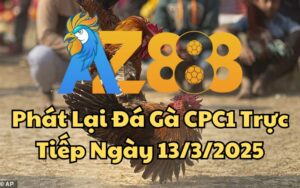 Phát Lại Đá Gà CPC1 Trực Tiếp Ngày 13/03/2025