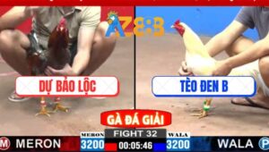 Trận 32 CPC2 2/3/2025 - Gà Idol Tính GaKing Đối Đầu Idol Bảo Sting