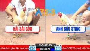 Trận 33 CPC1 21/3/2025 - Gà Bướm Bảo Sting Đá Như Máy Đối Thủ Tốc Chạy