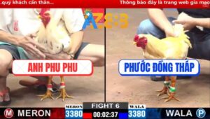 Trận 6 CPC2 2/3/2025 - Gà Anh Phước Canh Kẹp 3 Chân Hạ Gà Anh Phu Phu