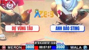 Trận 12 CPC2 27/4/2025 - Điều Bông Bảo Sting Kém 3 Chấm Hạ Bự Dễ Dàng