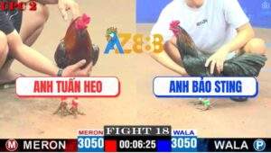 Trận 18 CPC2 18/4/2025 - Que Bảo Sting Đâm Bông Ngay Ông Địa Khỏi Cứu