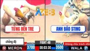 Trận 48 CPC3 1/4/2025 - Đúng Mẻ Hiệu Bảo Sting Đâm Nát Mu Lung Đối Thủ