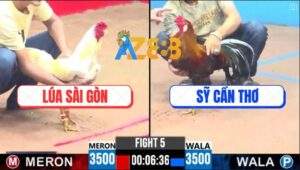 Trận 5 CPC3 26/4/2025 - Úa Cọp Anh Lúa Sài Gòn Bao Bồ Gần Tỏi