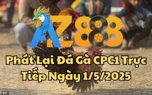 Phát Lại Đá Gà CPC1 Trực Tiếp Ngày 01/05/2025